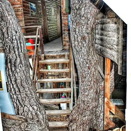 Bed & Breakfast Poseidon
