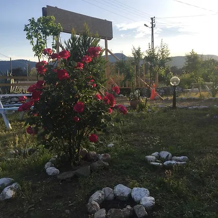 Bed & Breakfast Poseidon Olympos