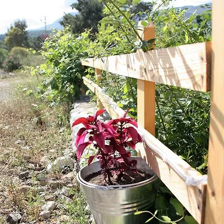 Bed & Breakfast Poseidon Olympos